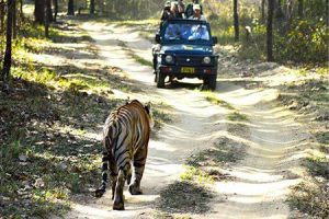 Explore Manas and Royal National Park with Her Expeditions.