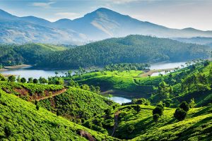 munnar kerela