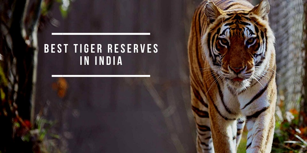 Best Tiger Reserves In India