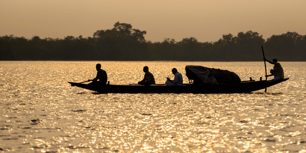 Sundarban national park